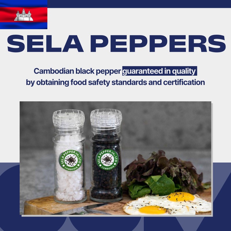 Salt, Pepper, Grinder, Sauce, sela pepper, cambodia
