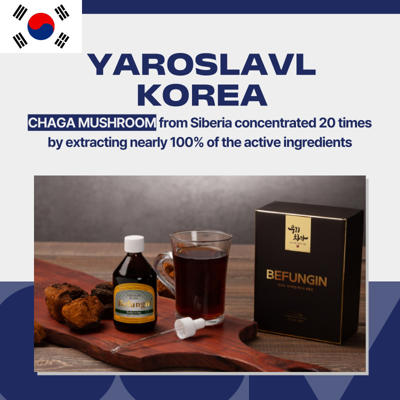 Chaga YAROSLAVL KOREA Korea