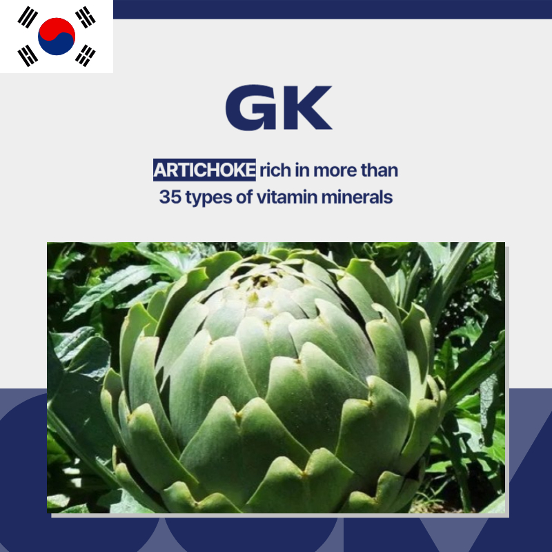 Artichoke GK KOREA