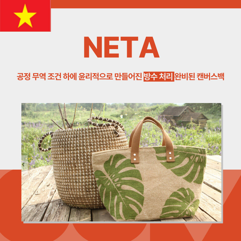 베트남, NETA, 캔버스