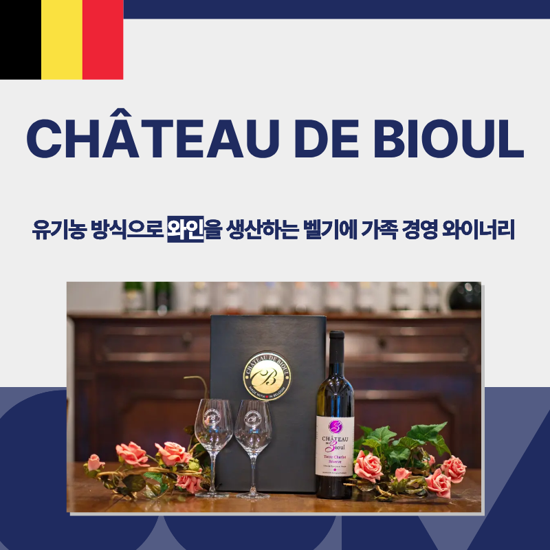 포토뉴스 이미지1