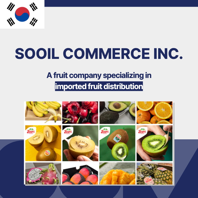 리스트 이미지
