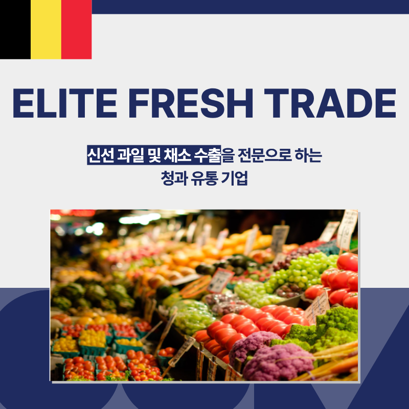 리스트 이미지