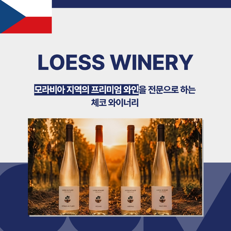 리스트 이미지